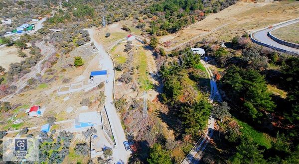 Menemen Görecede Tek Tapu 1 Dönüm Zeytinlik Yola Sıfır