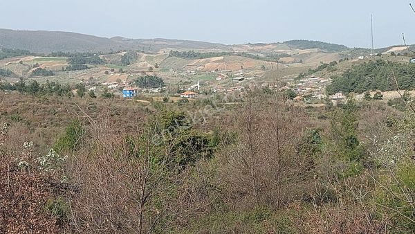 Sinan Emlak Tan Turgutlu Güney Köyü 14000 M2 Ucuz Tarla