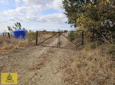 Merkez Yukarı Okçularda Yol Su Elektrik Mevcut Satılık Tarla