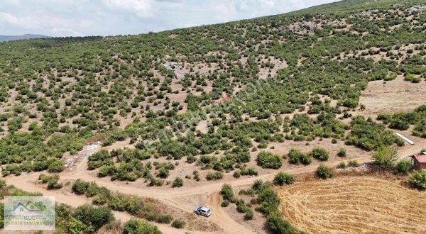 Klc Den Balıkesir Kepsut Akçaköyde Satılık 734 M2 Satılık Arsa