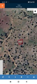 Çameli Cumaalanında 511 M2 Tarla