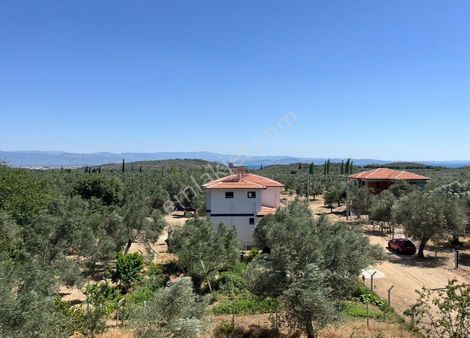 Gürede 370 Metrekare 20/40 İmarlı Arsa