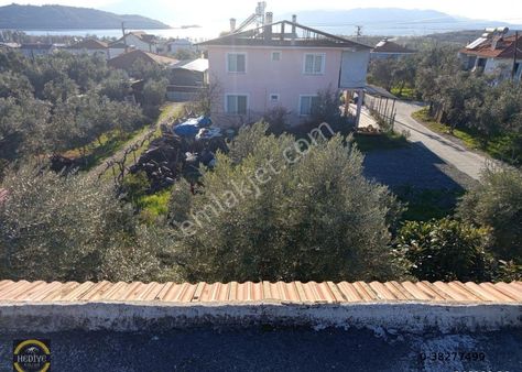 Köyceğiz Zeytinalanı'da Fırsat Tarla