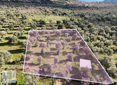 Marinden Yaka Mah. Kumyerde 2.177m2 Yerleşime Ve Denize Yakın