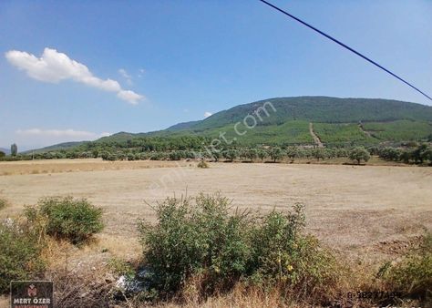 Muğla Yatağan Bencik'te 6.864 M2 Anayola Sıfır Tarla