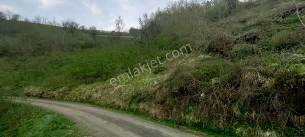 Akçaabat Akpınar Mahallesinde Satılık 9.5 Dönüm Arazi