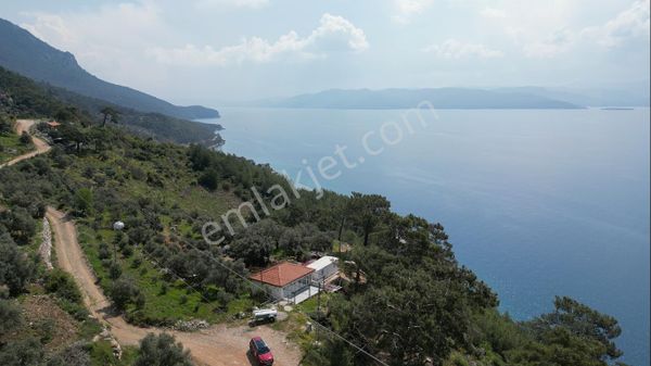 Muğla Menteşe Akyaka Kıran'da 4550m² Lebiderya Tarla