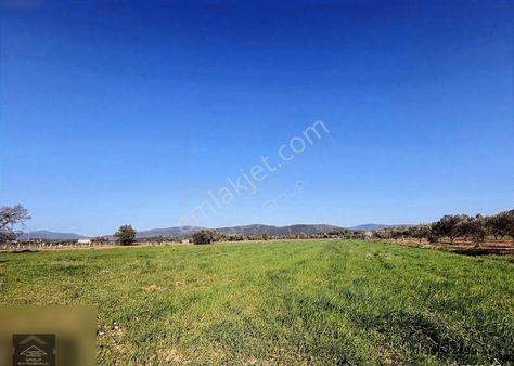 Verimli Tarım Arazisi