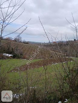 Akalan Arsa Ofisinden 19 Mayıs Çetirlipınar Da Tek Tapu Tarla