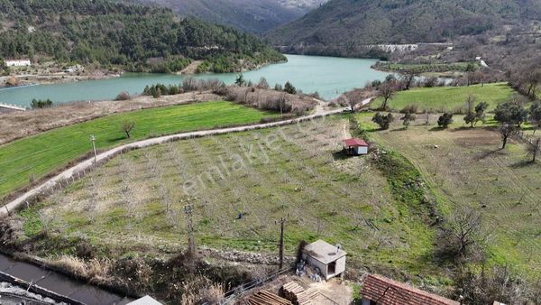 Baraj Manzaralı Asfalta Cephe 8700m2 Muazzam Ceviz Bahçesi