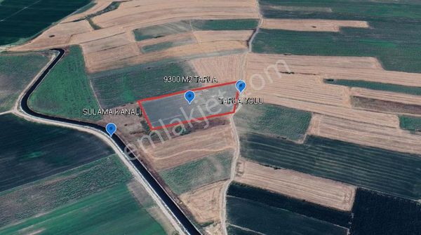 Manyas Çamlı Mah. Sulu Tarım Arazisi