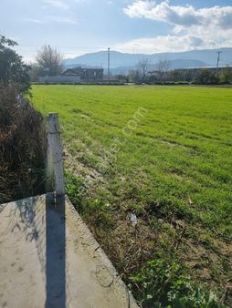 Aydın Ortaklar'da Köy İçi Tektapu Satılık