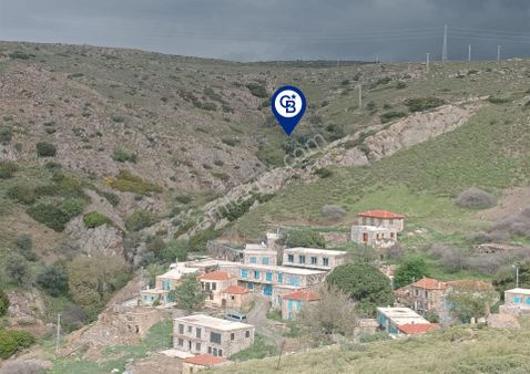 Karaburun Küçükbahçe'de Deniz Manzaralı Zeytin Ağaçlı Tarla