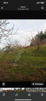 Manisa Salihli Gök Köy Mahallesinde Satılık Tarla