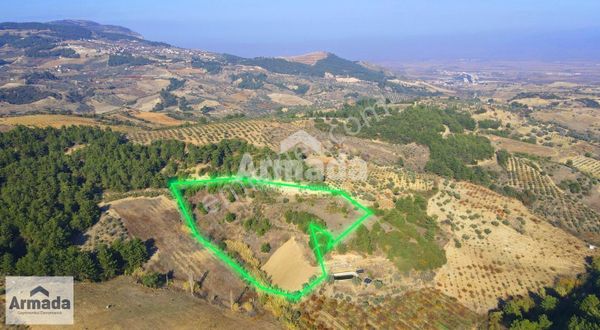 Manisa Sancaklı Kayadibi'nde Satılık 20 Dönüm Arazi