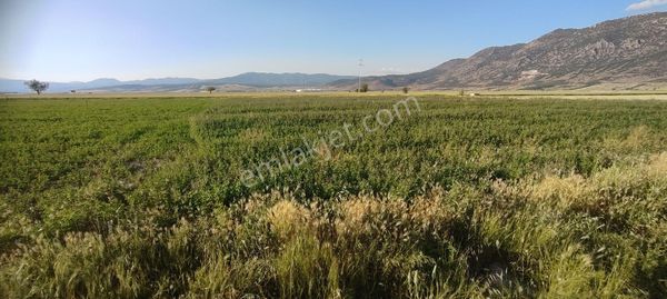 Acıpayam Yeşilderede 1600 M2 Yola Sıfır Tarla