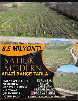 Serdar Emlak-8.mıntıka