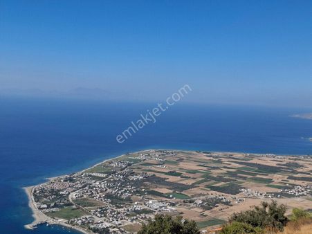 Muhteşem Doğa Ve Deniz Manzaralı Yol Parselli Satılık Tarla