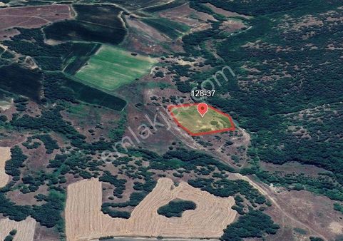 Kırklareli Armağan Köyü 7.728 M2 Arkası Mera Önü Yol