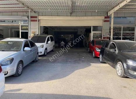 Belkız Gyo Mantıklı Araç Daire Takasa Açık Kiracılı Oto Galeri