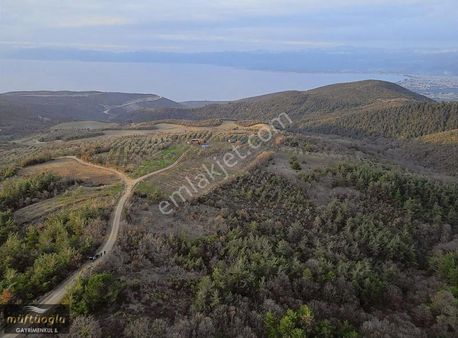 Bursa Yenişehir Mecidiye Mahallesi'nde Satılık Hobi Bahçesi