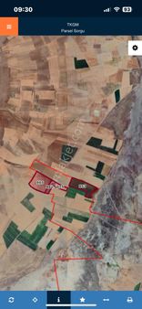 Harika Bir Servet Kazandıracak Tarla