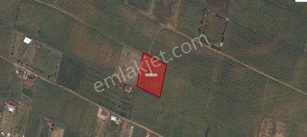 Tekirdağ Süleymanpaşa 1841 M² Lik Bağ Yeri