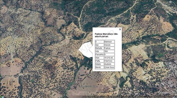 !!!fırsat Havran Fazlıcada Satılık 10.212 M2 Zeytinlik!!!!