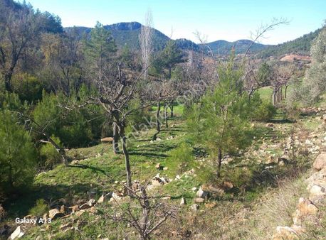 Antalya Gazipaşa Ilıca Köyünde Satılık Müsatakil Arazi
