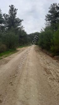 Yukarı Bozkır Da Satılık