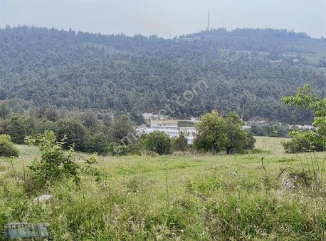 Balıkesir Cingede Köye Yakın 10.768 M2 Tarla