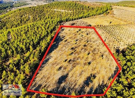 Selendi'de Satılık 16636 M2 Bademlik Ve Meyvelik (video)