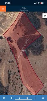 Uşak Merkez Çiğerdede Köyünde Satılık Tarla