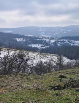 P&a Gayrimenkulden Kavak Demirci Köyünde Yatirimlik Tarla