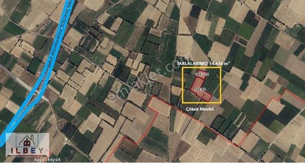 İlbey // Şuhut Ağzıkara Köyünde 14.434 M² İki Adet Tarla