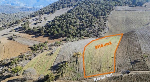 Ömer Emlaktan 3116 M2 Yol Kenarı Arazi