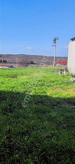 Seferihisar Düzce Satılık Arsa