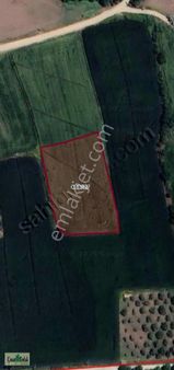 Çınar Emlak'tan Satılık Tarla