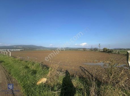 Torbalı Arslanlar'da 27.210m2 Satılık Tarla