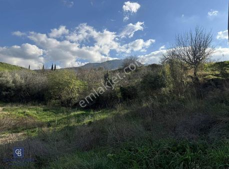 Kemalpaşa Yukarıkızılca'da 545 M2 Villa İmarlı Arsa