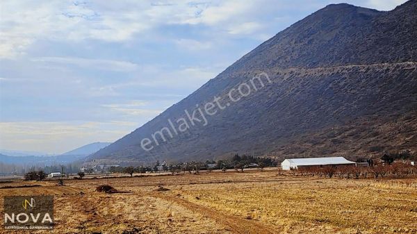 Akçakaya'da Satılık Parsel