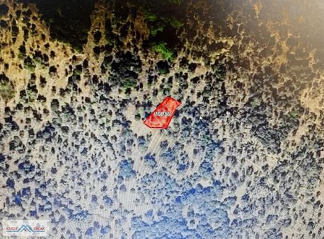 İzmir Bayındır Gazilerde Yatırımlık 330m2 Satılık Zeytinlik