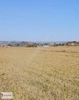 Şile Geredeli'de İmar Sınırına Yakın Arsa