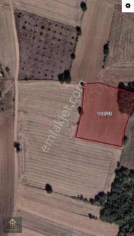 Yenişehir Fethiye'de 5.750 M2 Tek Tapu Tarla !