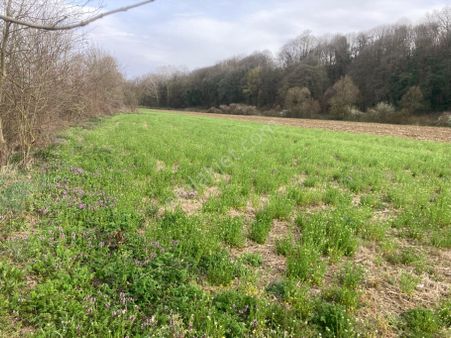 Sakarya Kayrancık Mah. Yatırımlık 1137m2 Tarla