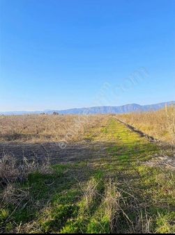 My-gayrimenkul Köyceğize Komşu Tepearasında 280m Hobi Bahçesi