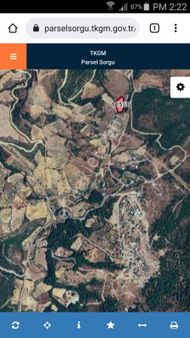 Saruhanlı Kayışlarda Satılık Zeytin Tarlası