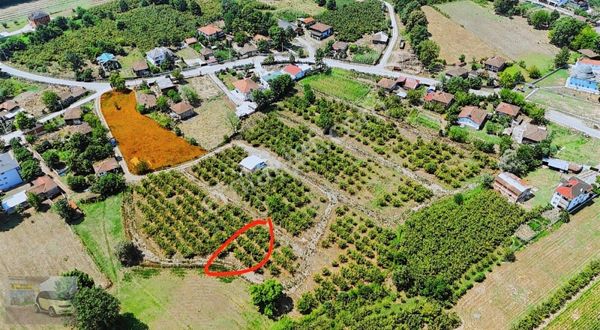 Sakarya Hendek'te Aşağıçalıca'da 300m2 Satılık Arsa
