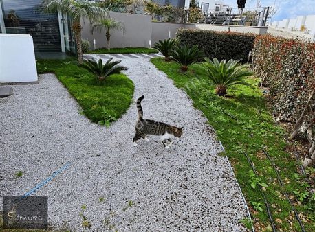 Bodrum Bağla Deniz Manzaralı Site İçi Tek Kat Müstakil Ev