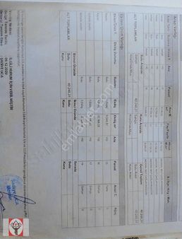 Mut,çağlayangedik Köyünde, Konya Yoluna Yakın,kayısı Bahçesi